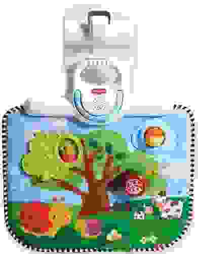 Двусторонний развивающий центр TINY LOVE