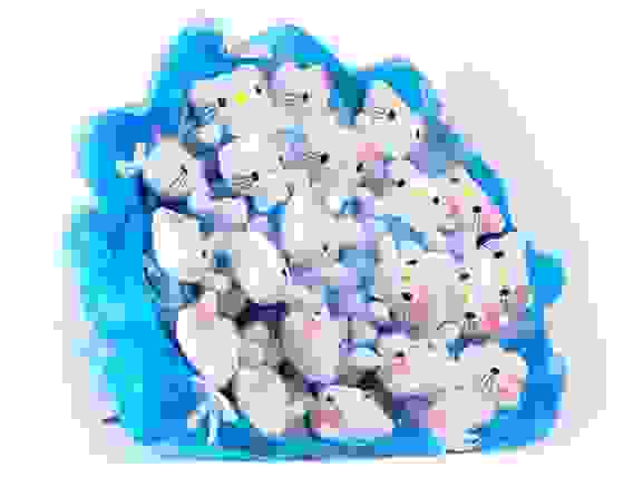 Букет из игрушек Toy Bouquet &quot;Котята&quot;, цвет: голубой, 21 игрушка
