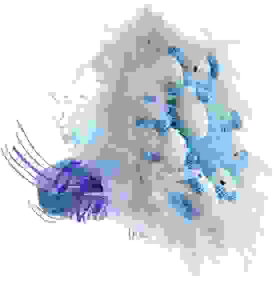 Букет из игрушек Toy Bouquet &quot;Котята&quot;, цвет: голубой, 9 игрушек