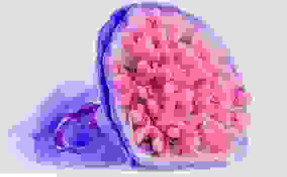 Букет из игрушек Toy Bouquet &quot;Зайчата&quot;, цвет: фиолетовый, 25 игрушек