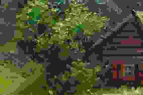 Картина маслом &quot;Деревенский пейзаж&quot;