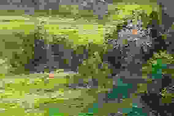 Картина маслом &quot;Деревенский пейзаж&quot;