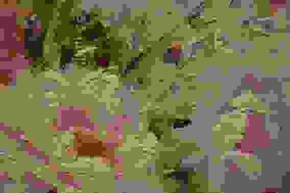 Картина маслом &quot;Букет с пионами&quot;