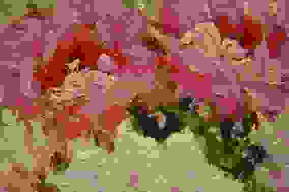 Картина маслом &quot;Букет с пионами&quot;