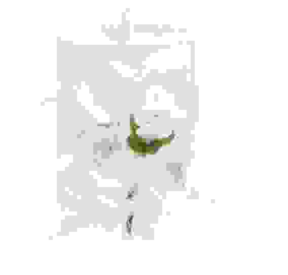 Свеча декоративная Win Max &quot;Свадебная&quot;, 10 см