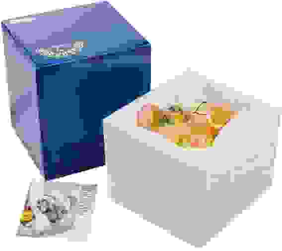 Копилка Pavone &quot;Медвежонок&quot;