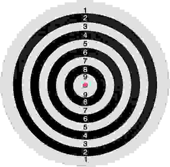 Дартс Torneo 43 см