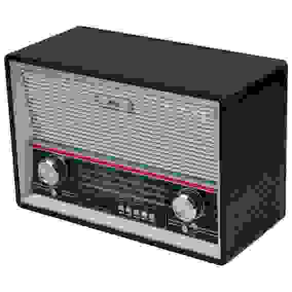 Радиоприемник Ritmix RPR-101 Black