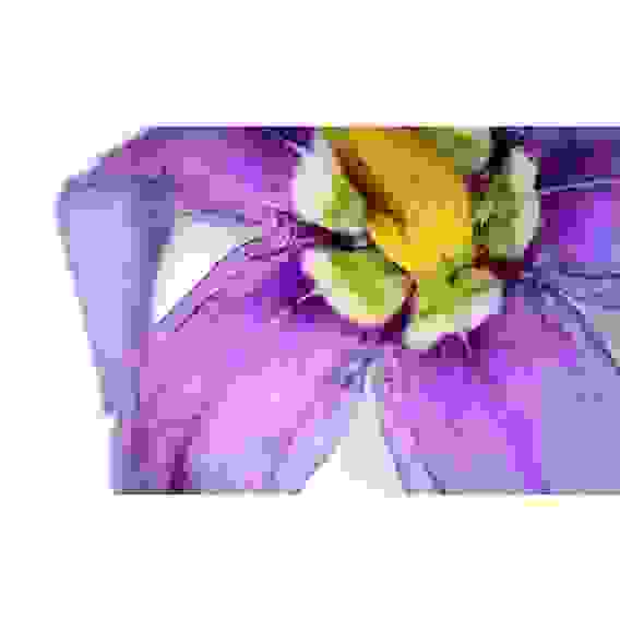 Микроскоп цифровой Levenhuk DTX 720 Wi-Fi